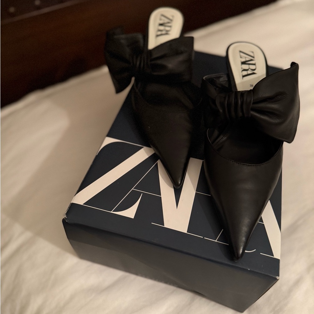 Zara Elegant Black Pointed Mules